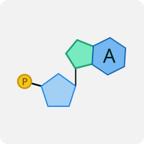 5-NAD-RNA