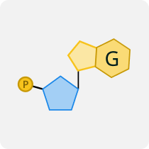 5-NGD-RNA