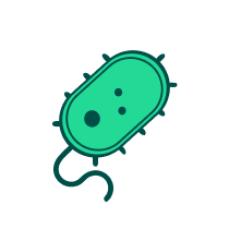 Icon Bakterium