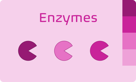 Farbverwendung für den Bereich Enzyme
