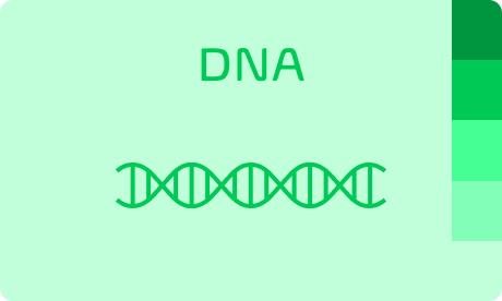 Farbverwendung für den Bereich der DNA